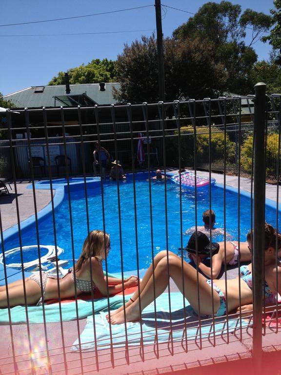 ברייט Forest Lodge Chalets מראה חיצוני תמונה